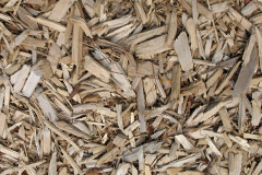 biomass boilers Pontrhydyfen
